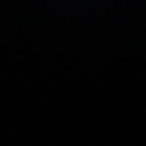 Meet your Posher, Shakearra